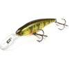  Jackall Squad Shad 65 ghost g perch