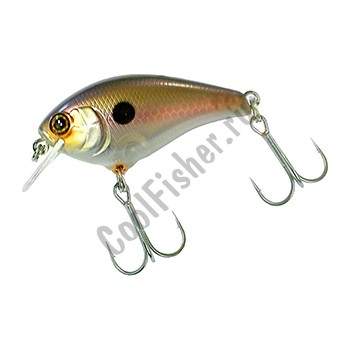  Jackall Aska 50 SR pearl gizzard