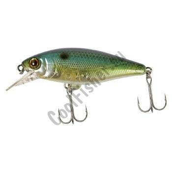  Jackall Chubble SR sk sexy shad