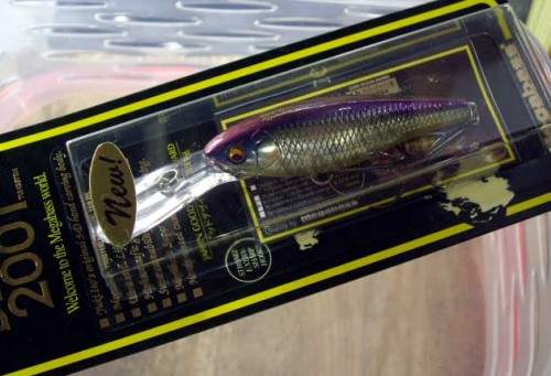  Megabass Deep-X 200T m champagne kinkuro