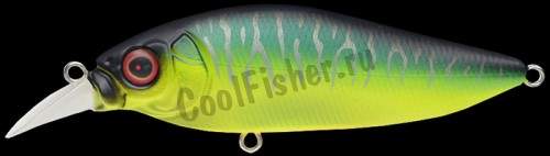  Megabass Flap Slap mat tiger