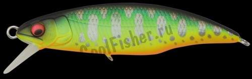  Megabass Great Hunting 50F Flat Side pa-mark mat tiger