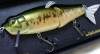  Megabass It-Jack teasing bass gold