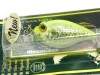  Megabass MR-X Griffon gg chart back bass