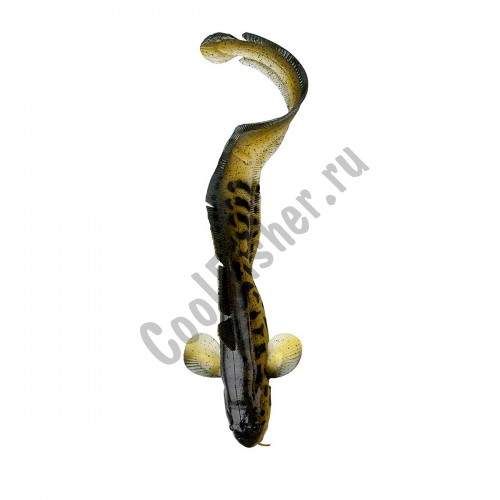  Savage Gear 3D Burbot 250 25cm 75g FS 01-Burbot