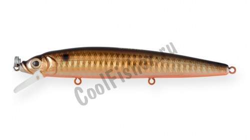  Strike Pro Alpha Minnow 115  11,5 12 . 0,6 -1,6 613-713