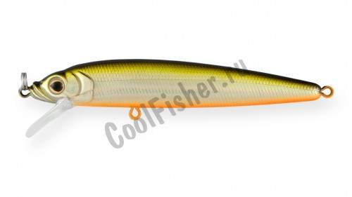  Strike Pro Alpha Minnow 95  9,5 9 . 0,6 -1,6 612T