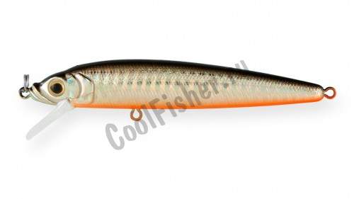  Strike Pro Alpha Minnow 95  9,5 9 . 0,6 -1,6 A70-713