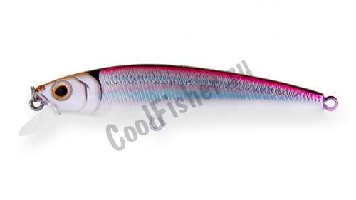  Strike Pro Arc Minnow 105  10,5 11 . 0,6 - 1,2 A53-EP