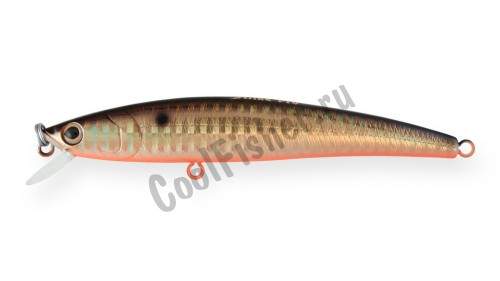  Strike Pro Arc Minnow 105  10,5  11,5  . 0,6 - 1,2 613-713