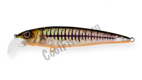  Strike Pro Beakster 70  7 5,6 . 0,8 -1,5 A56RGB
