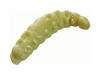   Berkley Powerbait Honey Worms 25 yellow scales