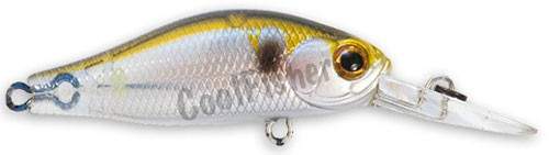  ZIPBAITS Khamsin Tiny 40SP-DR    018R