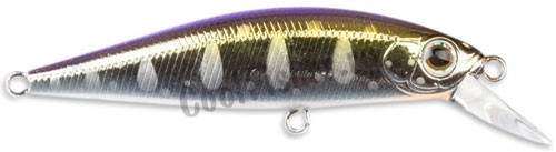  ZIPBAITS Rigge Flat 50S  859R