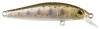  ZipBaits ZBL System minnow 50S 851R