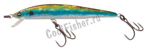  F1041-HSH Duel HARDCORE MINNOW 130F BASS