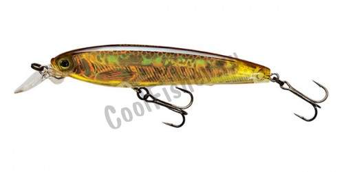  Yo-Zuri 3DS MINNOW 70SP F1135-HGBL