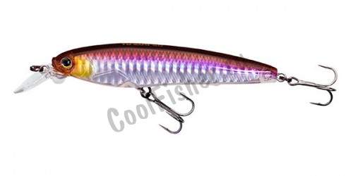  Yo-Zuri 3DS MINNOW 70SP F1135-HHWS