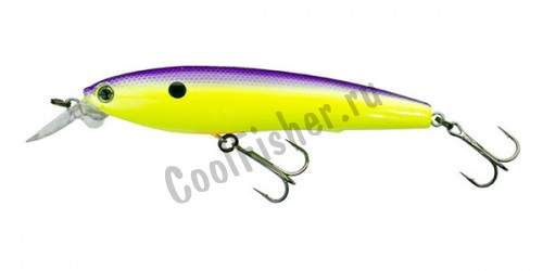  Yo-Zuri 3DS MINNOW 70SP F1135-PUCL