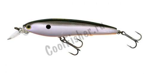  Yo-Zuri 3DS MINNOW 70SP F1135-TSH