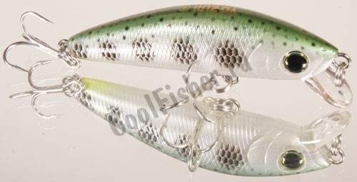  Yo-Zuri L-MINNOW 66S F1168-MDM