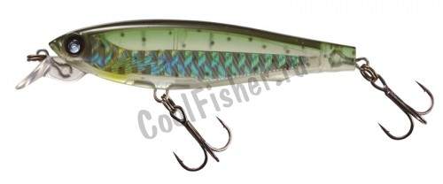  Yo-Zuri 3DS MINNOW 70SP F962-HGST