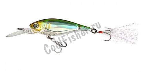  Yo-Zuri 3DB SHAD 70SP R1104-PAY