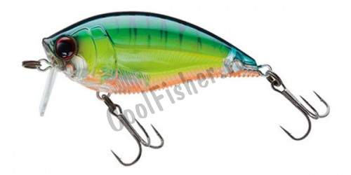  Yo-Zuri 3DB WAKE BAIT 70F R1146-PFT