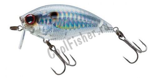  Yo-Zuri 3DB WAKE BAIT 70F R1146-PGSH