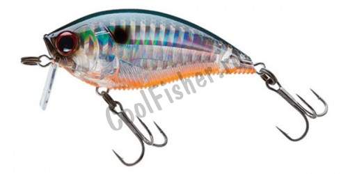  Yo-Zuri 3DB WAKE BAIT 70F R1146-PTSH