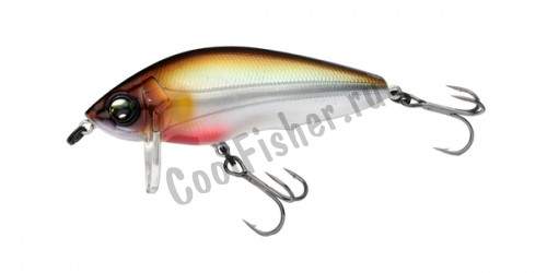  R1183-MGSA Duel HARDCORE SHAD CRANK 0+ 65F