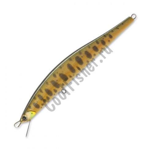  DUO Grace Minnow Elena 110F P34