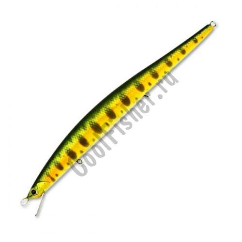  DUO Grace Minnow Elena 130F P34