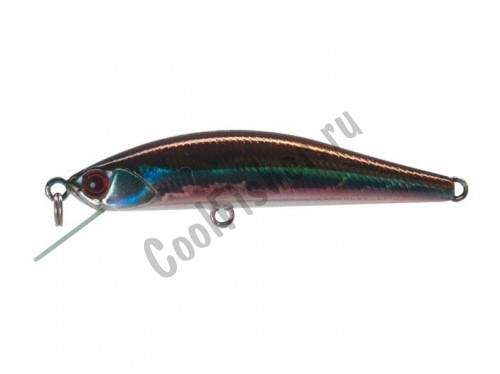  DUO Grace Minnow Elena 50F D13