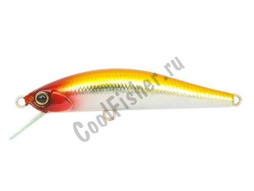  DUO Grace Minnow Elena 50F D33