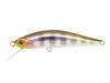  DUO Grace Minnow Elena 50F D58