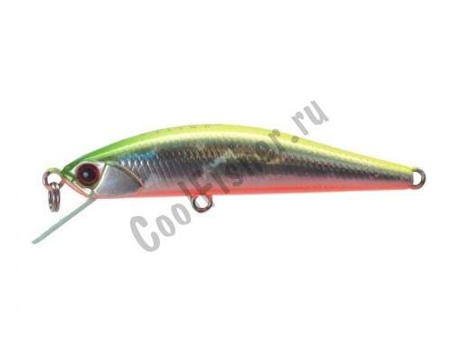  DUO Grace Minnow Elena 50F D62