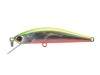  DUO Grace Minnow Elena 50F D62