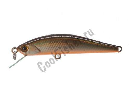  DUO Grace Minnow Elena 50F N147