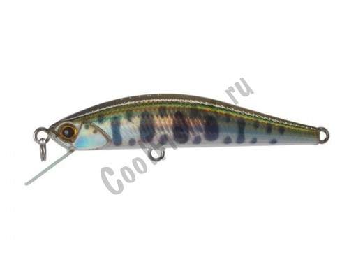  DUO Grace Minnow Elena 50F N34