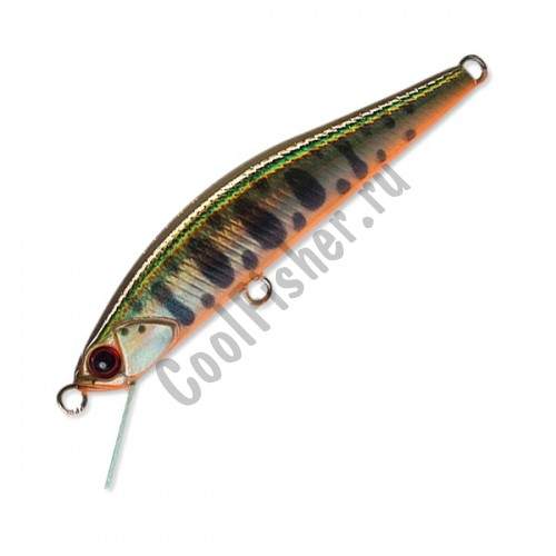  DUO Grace Minnow Elena 50F N568