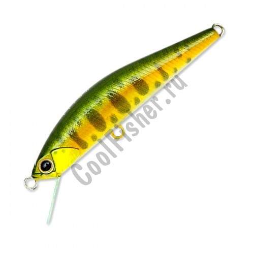  DUO Grace Minnow Elena 50F P34