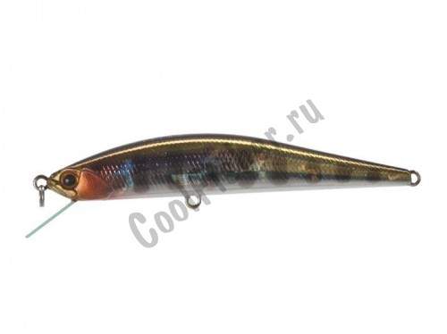  DUO Grace Minnow Elena 70F D58