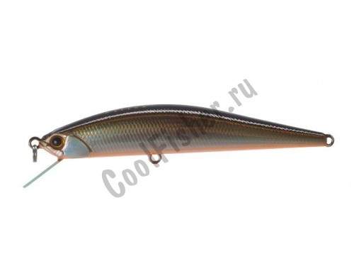  DUO Grace Minnow Elena 70F N147