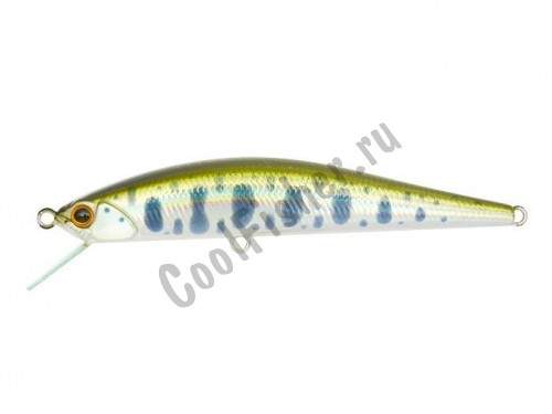  DUO Grace Minnow Elena 70F N34