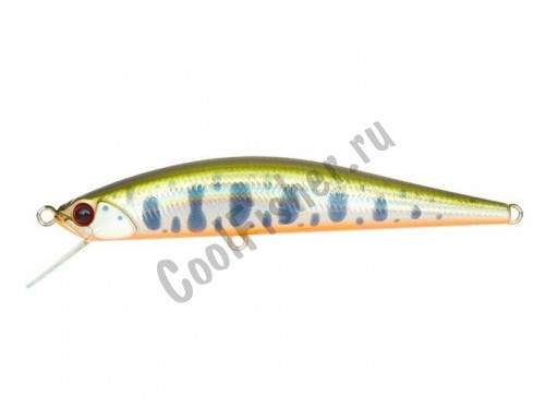  DUO Grace Minnow Elena 70F N568