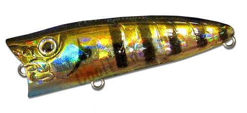  ZIPBAITS ZBL Popper TINY 509R