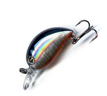  ZipBaits Baby Hickory SR 811R