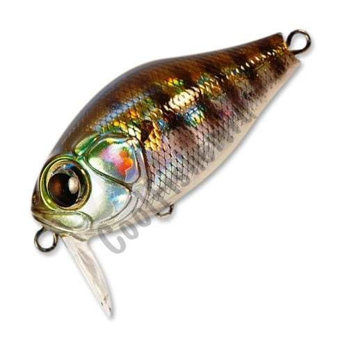  ZipBaits B-Switcher CRAZE SSR 509R