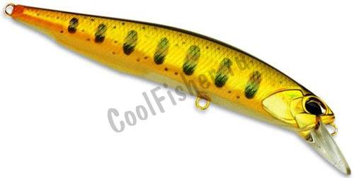  DUO Realis Jerkbait 100   13.7  #P34